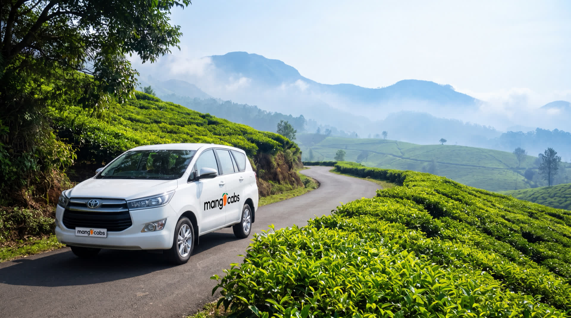 A white Mango Cabs Toyota Innova on a winding tea-estate road in the Munnar hills